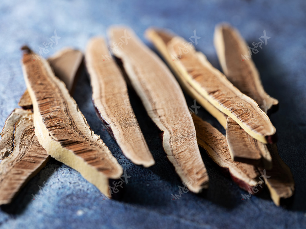 영지버섯 식재료