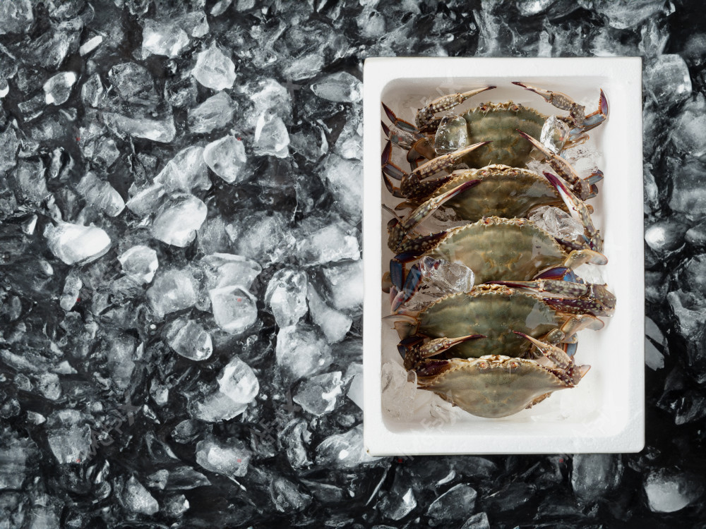 꽃게,해산물,음식,식재료